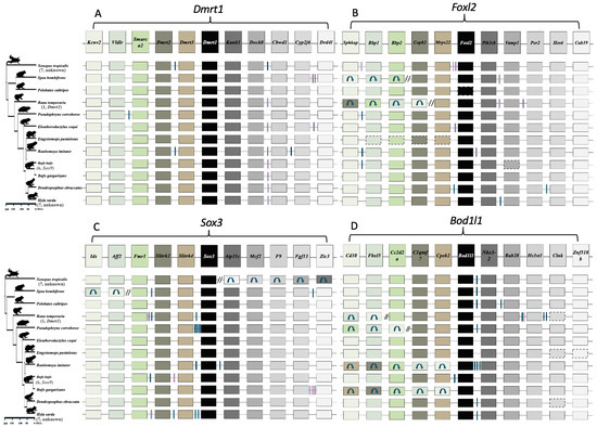 biomolecules-15-01306-g003-550