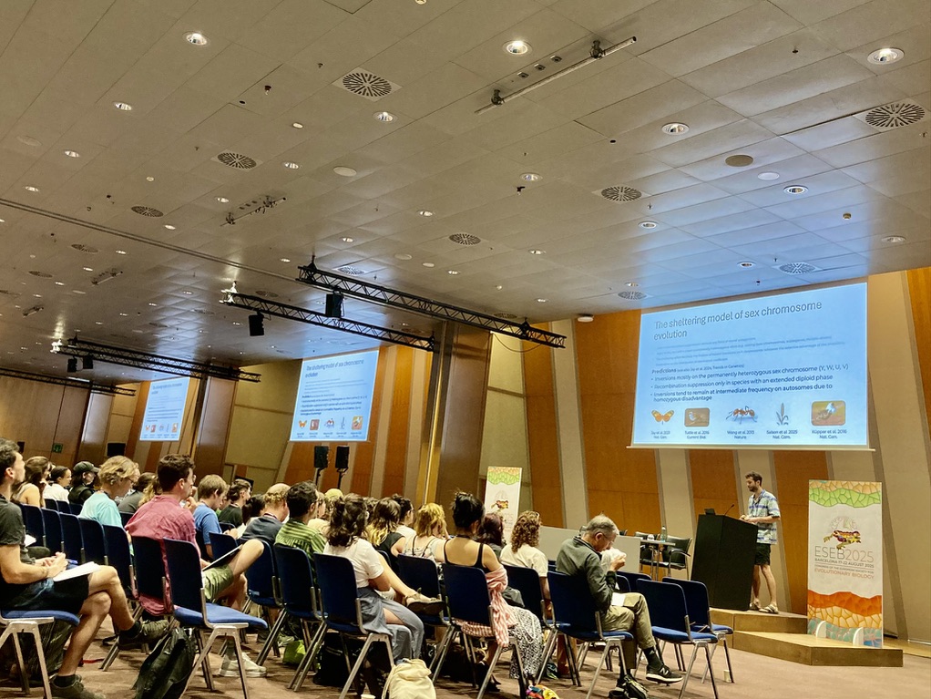 C4496BFE-E71B-4FD2-A446-FFE9210BD660_1_105_c