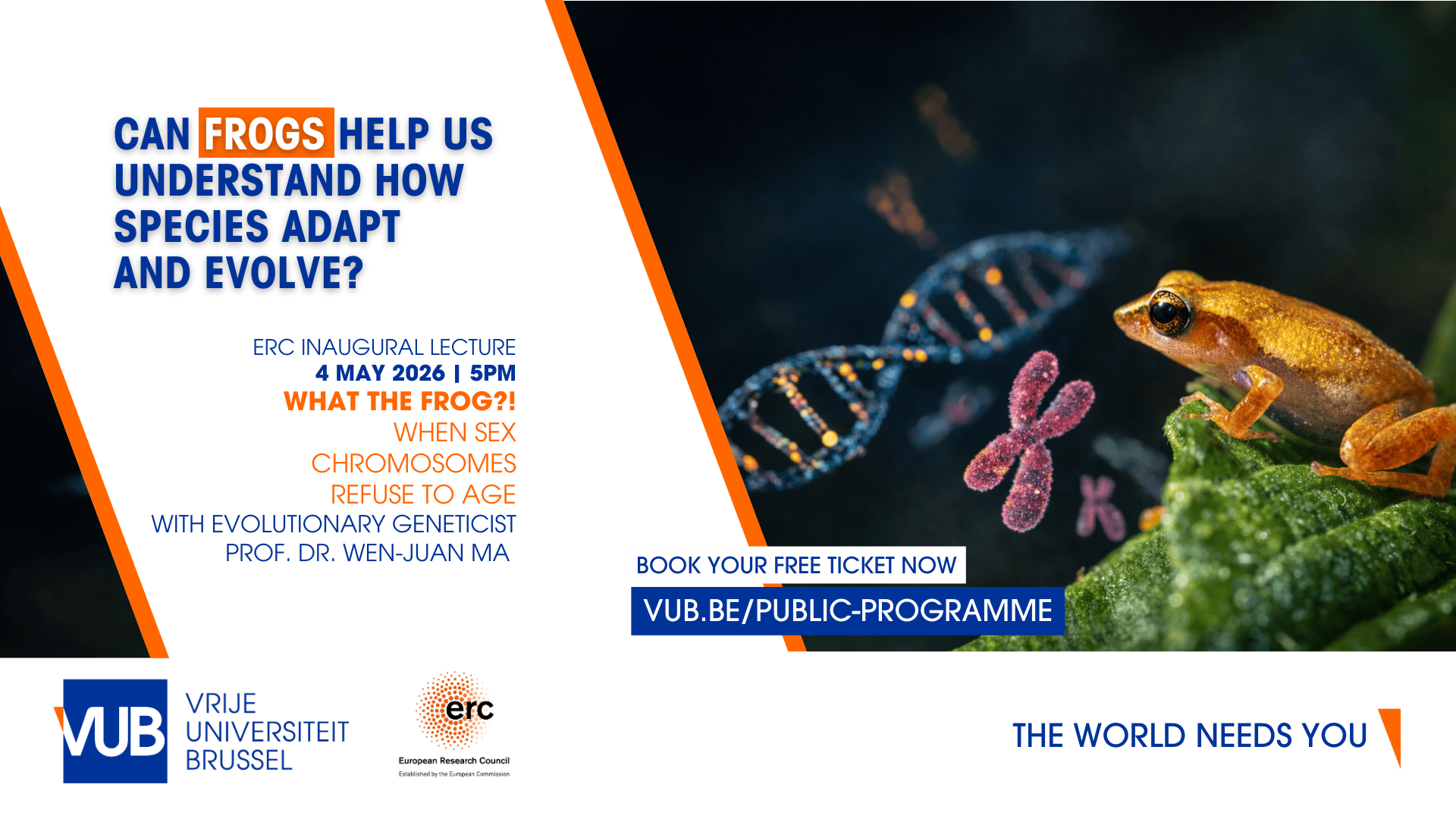 Campusscherm - What the Frog! - EN