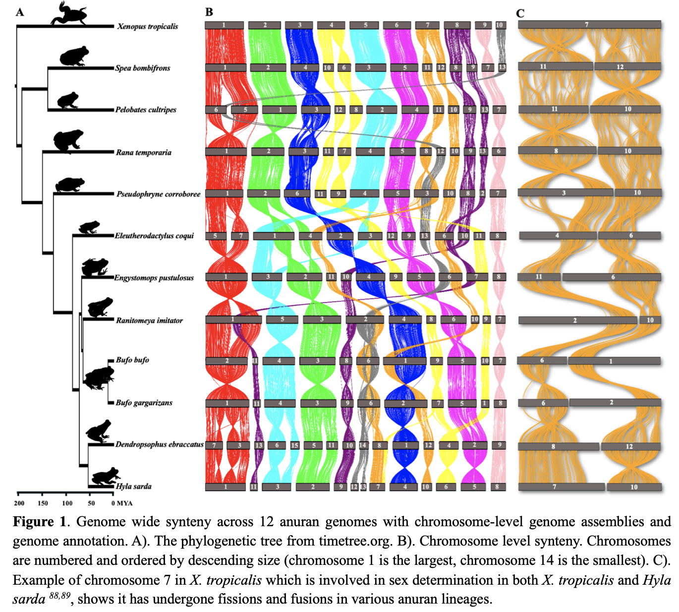 Screenshot 2025-06-18 at 01.26.50